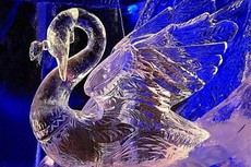 1 января в Санкт-Петербурге открывается выставка ледовых скульптур