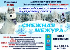 Всероссийские соревнования по ездовому спорту