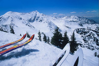 AirBerlin и NIKI ввели бесплатное место багажа для горнолыжников