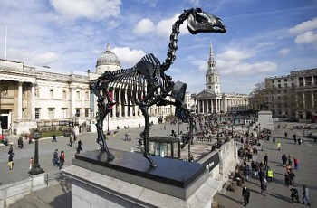 Скелет лошади появился на Трафальгарской площади