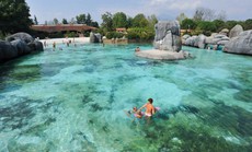 В биопарке Турина посетители могут поплавать с пингвинами