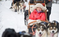 В норвежский отель доставляют на собаках