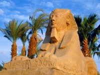 МИД разрешил россиянам отдыхать в Египте