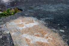 Карельские петроглифы скоро будут под охраной ЮНЕСКО