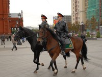 В Москве появится туристическая полиция