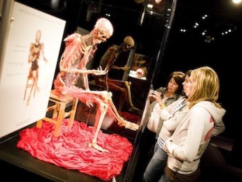Знаменитая анатомическая выставка «Тайны тела. Вселенная внутри»