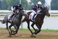 В Смоленском районе устроят конно-спортивный праздник «Золото Алтая»