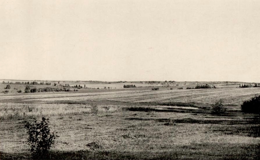 Бородинское поле в 1902 году