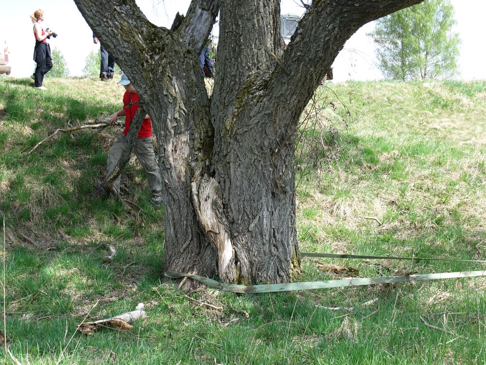 Трофи-рейд Гжатский тракт, 2009 год Трофи-рейд Гжатский тракт, 2009 год