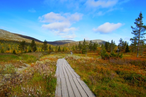 Лапландия: страна чудес, которой нет на карте