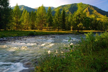 Алтайский заповедник находится в бассейне реки Чулышман