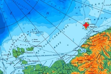 Остров Врангеля на Чукотке называют «островом белых медведей»