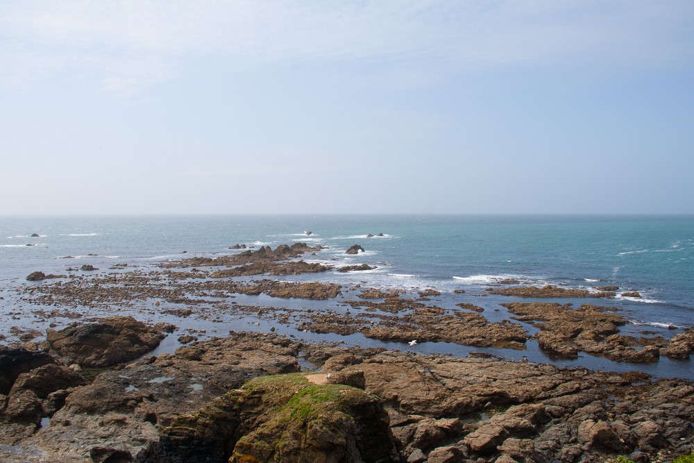 Great Britain trip, part 12, Lizard, Cardiff, Swansea, Portsmouth, Eastbourne