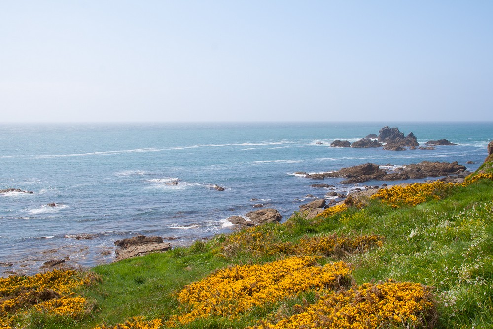 Great Britain trip, part 12, Lizard, Cardiff, Swansea, Portsmouth, Eastbourne