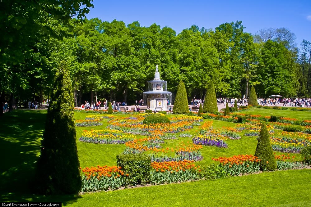 Петергоф парк сайт. Петергоф Нижний парк. Петергоф парк римские фонтаны. Петергоф Нижний парк фото.