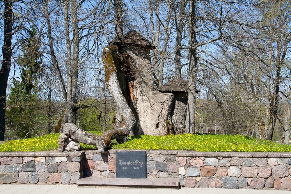 Прибалтийский трип, часть 4, Сигулда, Цесис, Турйдский замок, Венденский замок