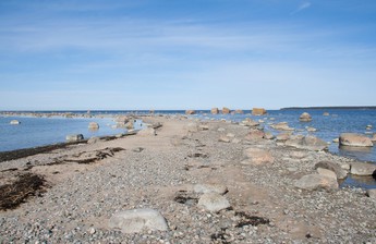 Прибалтийский трип, часть 2, Лаагна, Нарва, Кясму, Вызу