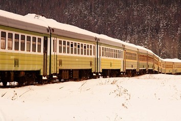 Кладбище паровозов в Шумково